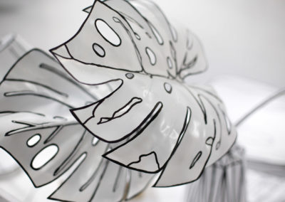 Drawing installation detail of swiss cheese plant